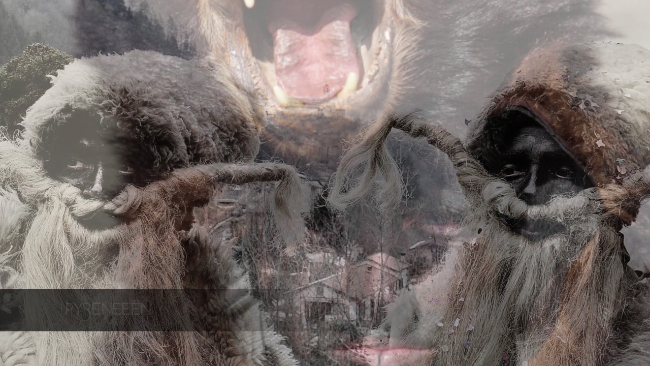 Wild Geraas, trailer 2016