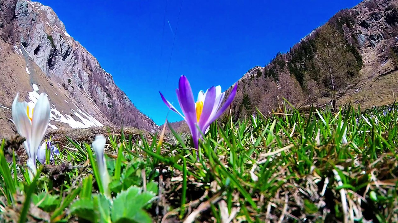 Trip zur Alm April 2017 Hohe Tauern