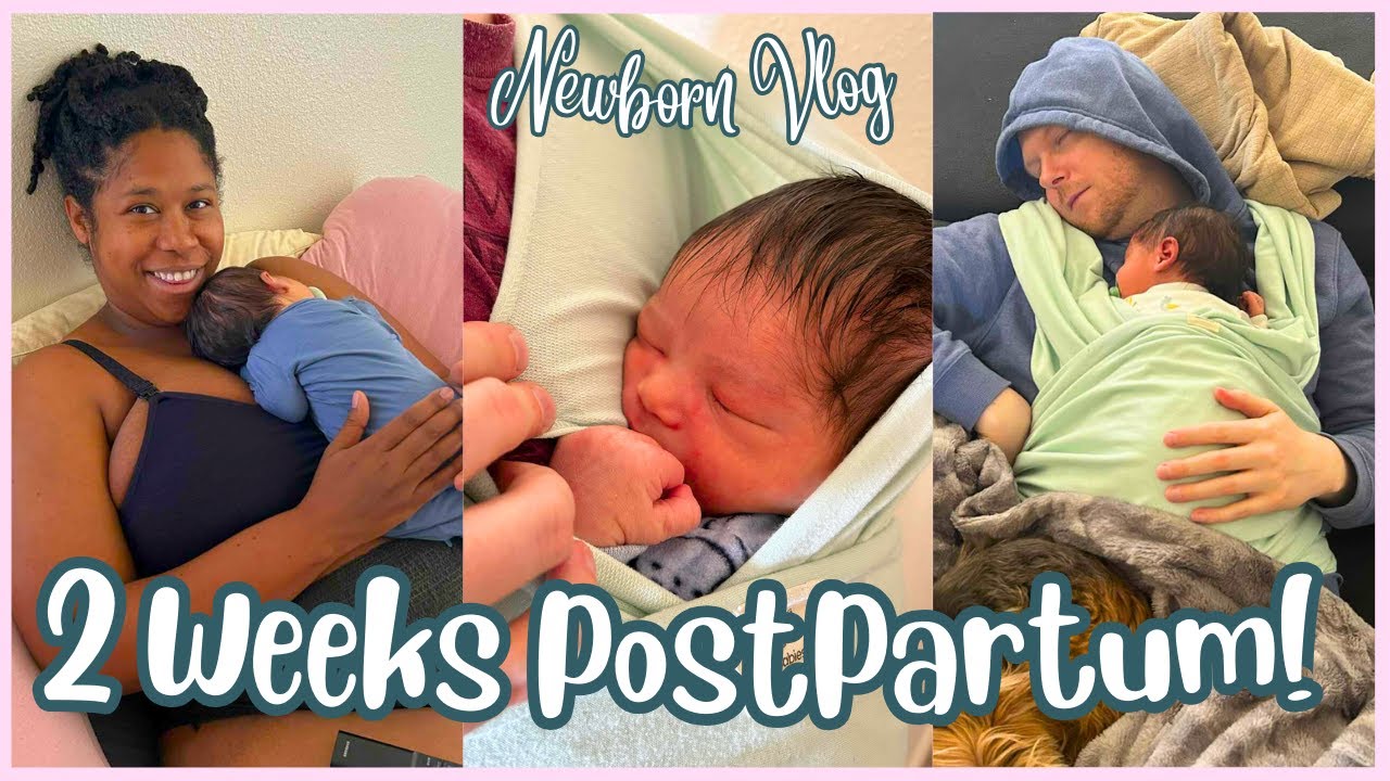 Our First Two Weeks! | Newborn vlog | First Time Mom