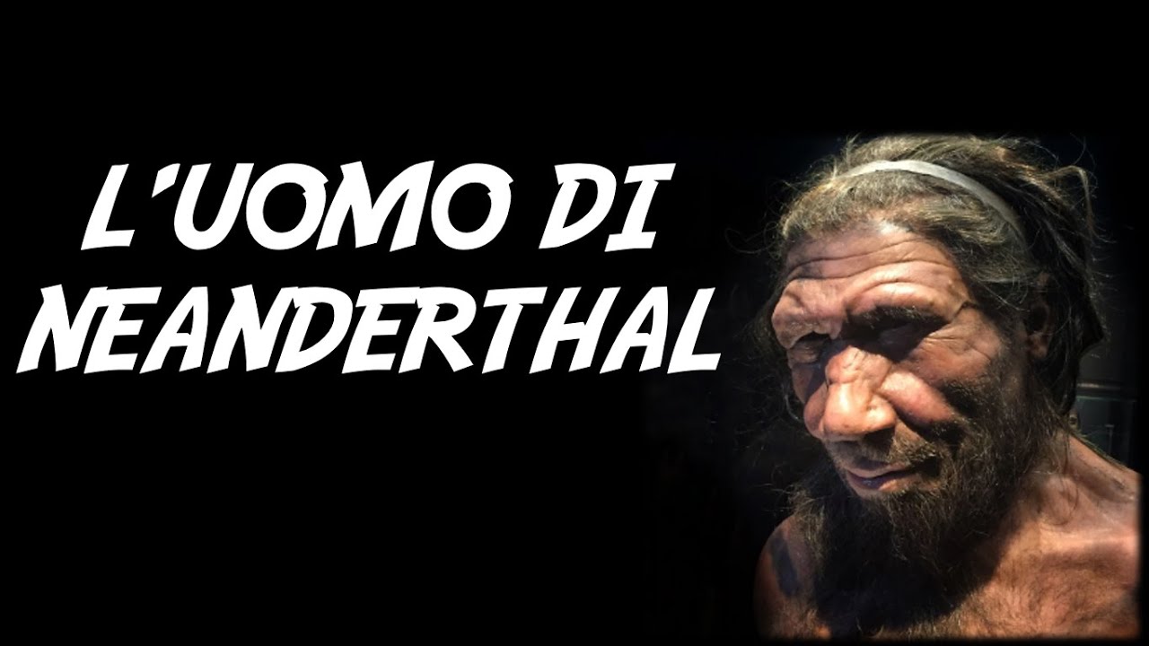 L'uomo di Neanderthal - Videolezione di storia per la classe terza di scuola primaria.