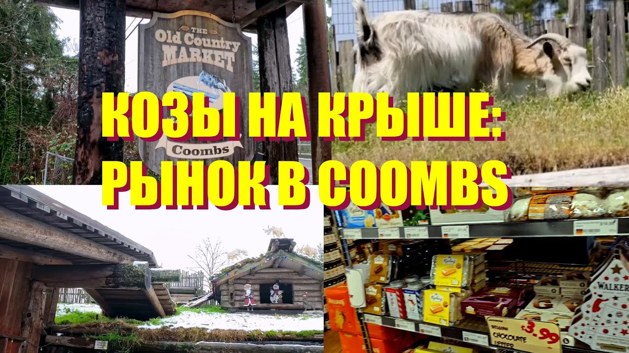 КОЗЫ НА КРЫШЕ: РЫНОК В КУМБСЕ, О-В ВАНКУВЕР