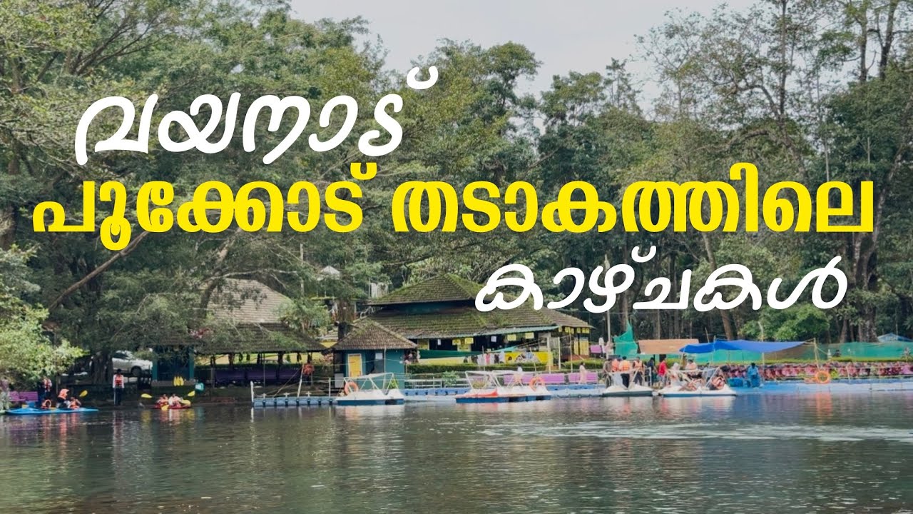 Wayanad Pookode Lake| പൂക്കോട് തടാകത്തിലെ കാഴ്ചകൾ | Tourist places in Wayanad |Boating |