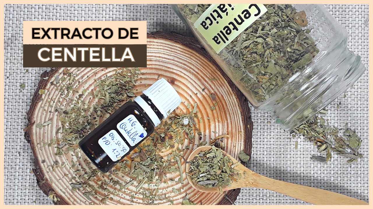 Cómo hacer EXTRACTO de CENTELLA ASIÁTICA☘️​🧴​ ¡Un Elixir en Cosmética y Remedios Naturales!