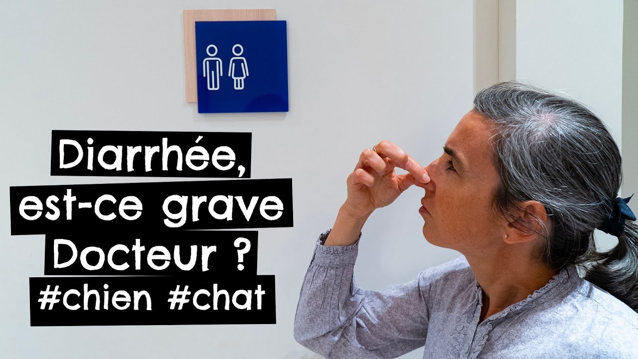 Diarrhée, est-ce grave Docteur ? #chien #chat 🐶 🐱