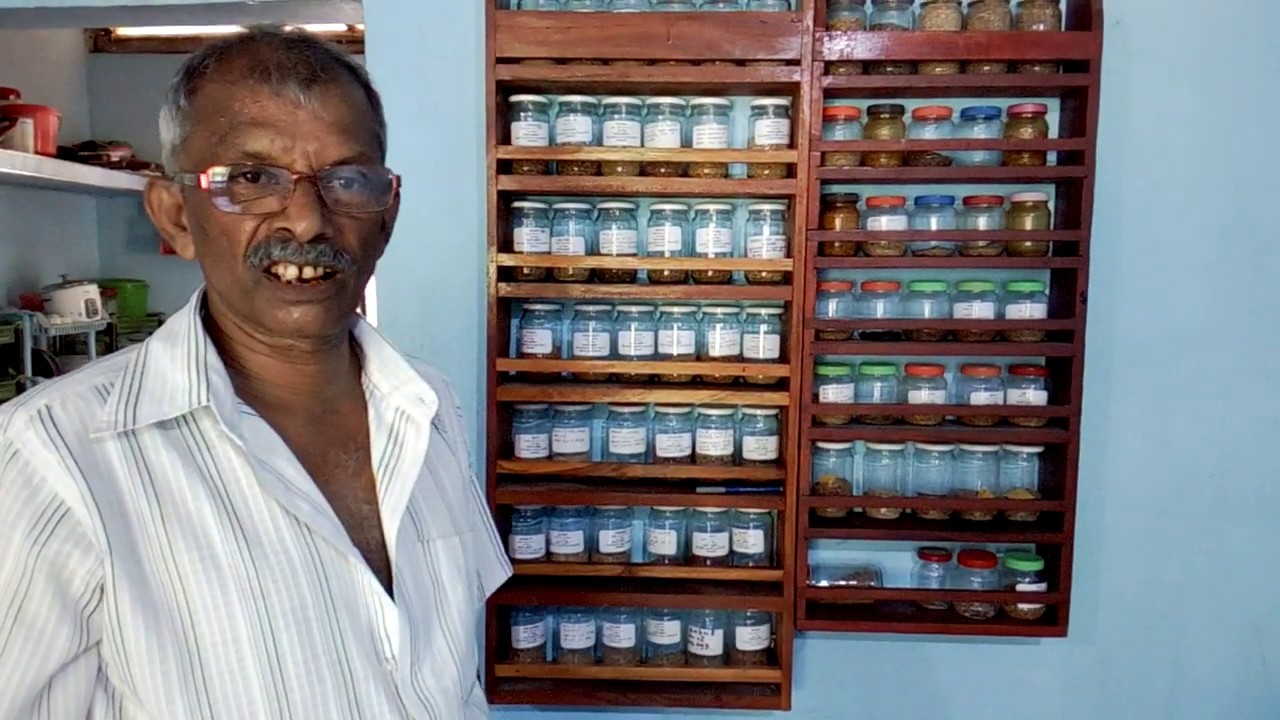 හෙලයේ පැරණිතම වී වර්ග 53ක්