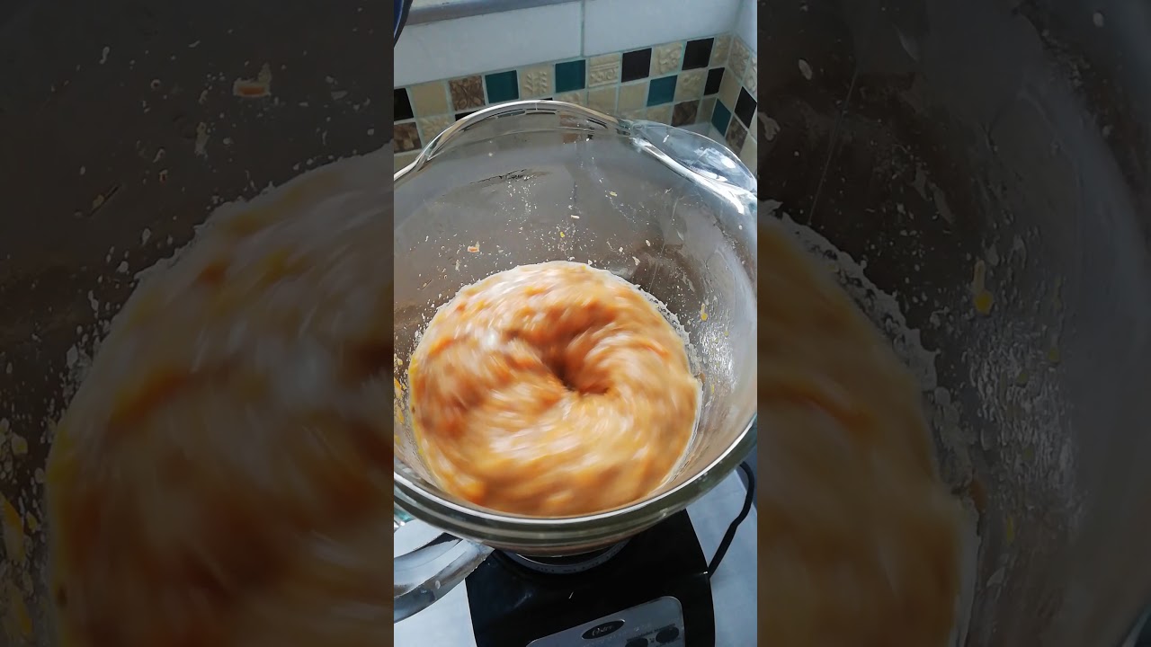 Pâte casero para gatos en cuarentena