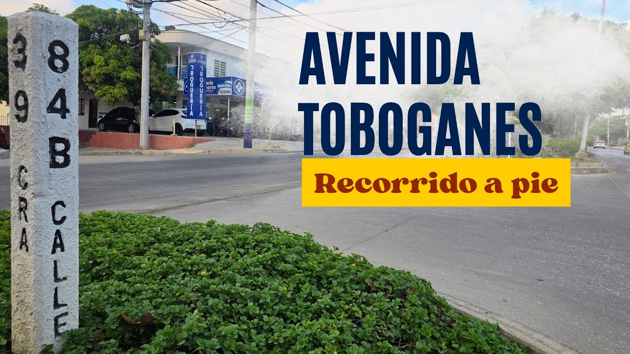🎢😮 AVENIDA LOS TOBOGANES: 🏚️👻 Un conjunto fantasma en plena ciudad