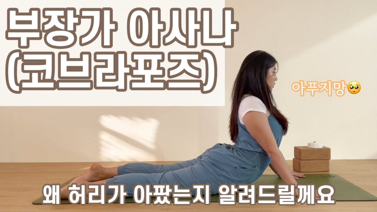 부장가포즈 파헤치기 / 숙련자는 카포타까지! :: 수업영상X ( How are you doing the cobra pose? )