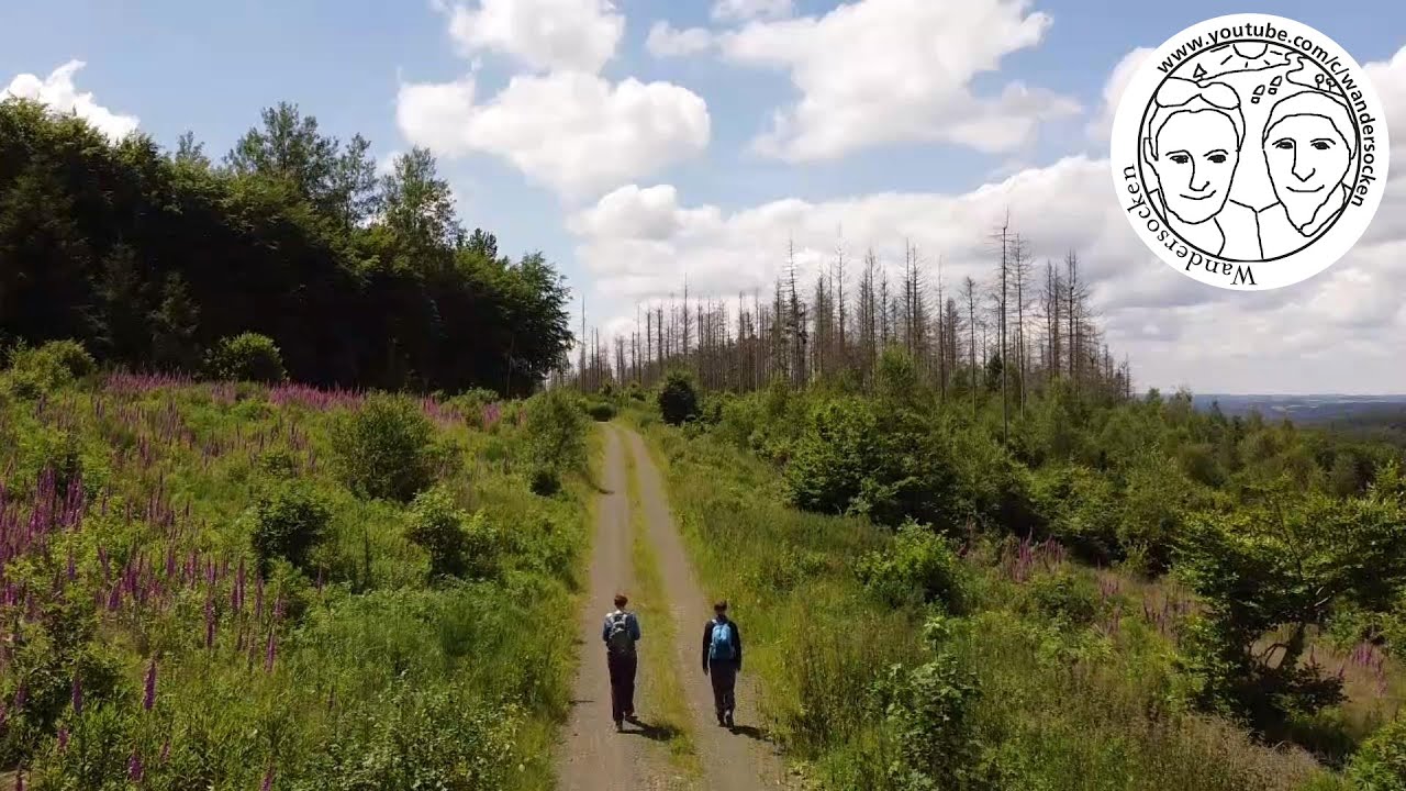 Freusburg & Giebelwald: Wandersocken auf dem Natursteig Sieg, Et. 14, Von Kirchen nach Mudersbach