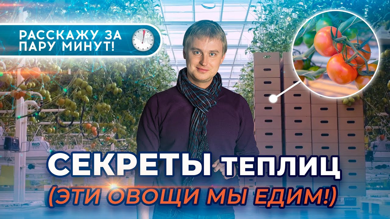 СЕКРЕТЫ теплиц 🥒 || Эти овощи мы едим!