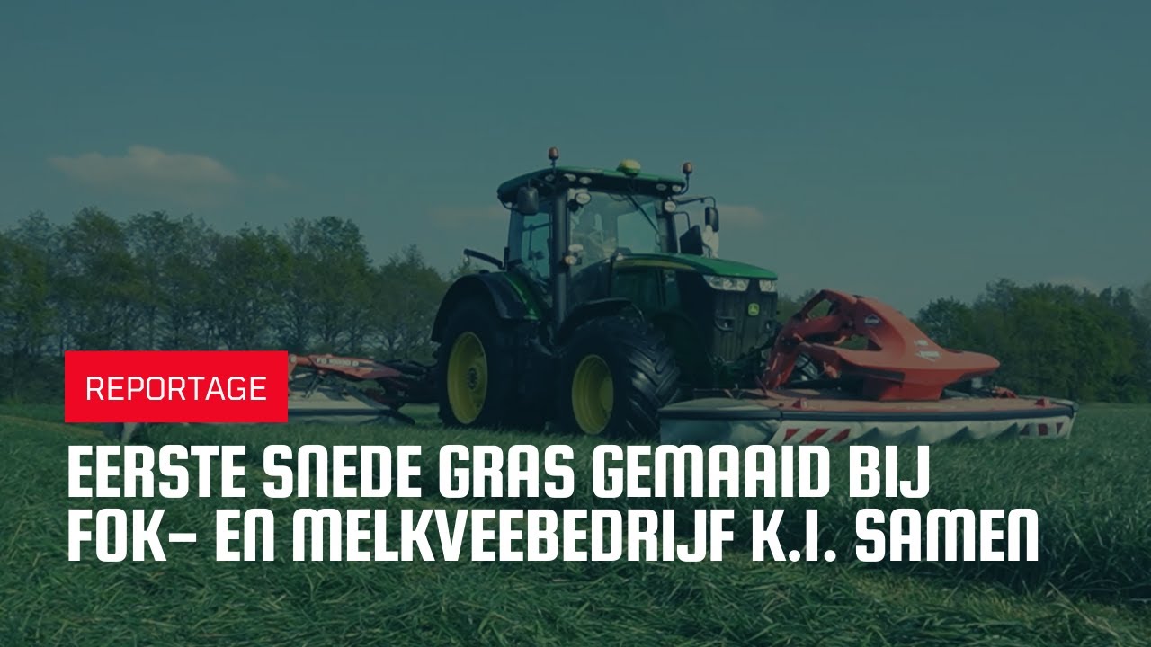 Goede kwaliteit eerste snede gras in Grashoek