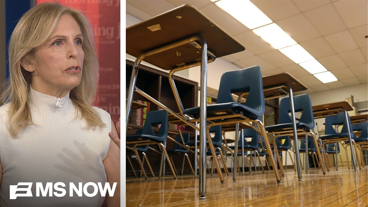 &lsquo;Literacy is at a CRISIS POINT&rsquo;: Education expert on the future of high school in America