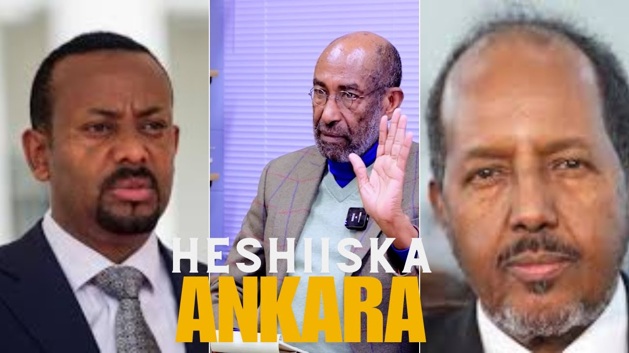 Prof Cabdi Samatar oo qodob-qodob u sharaxay heshiiskii Somalia & Itoonbiya & cillada ku jirta.