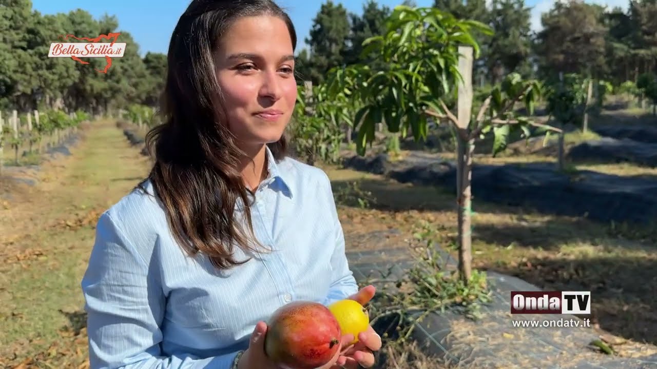 Silvia, ho scommesso in Sicilia sulla frutta tropicale e subtropicale
