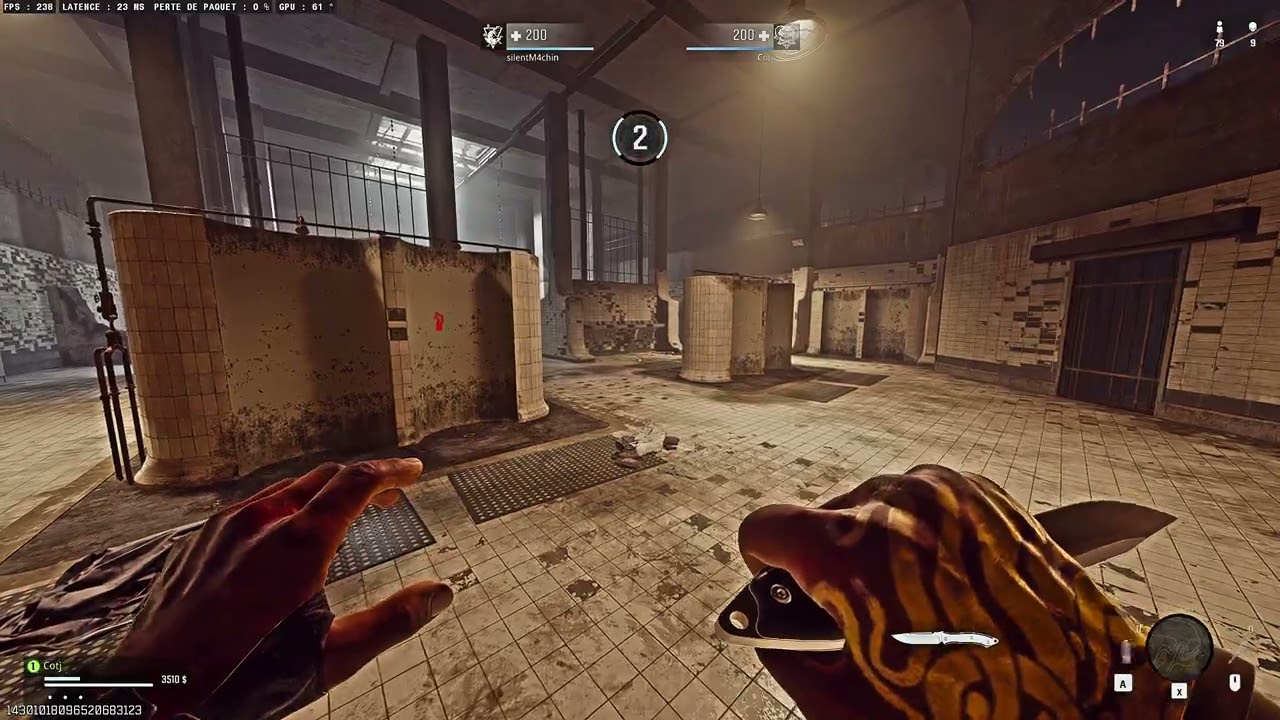 Top1 sur le br de warzone avec la manière  au kar :)