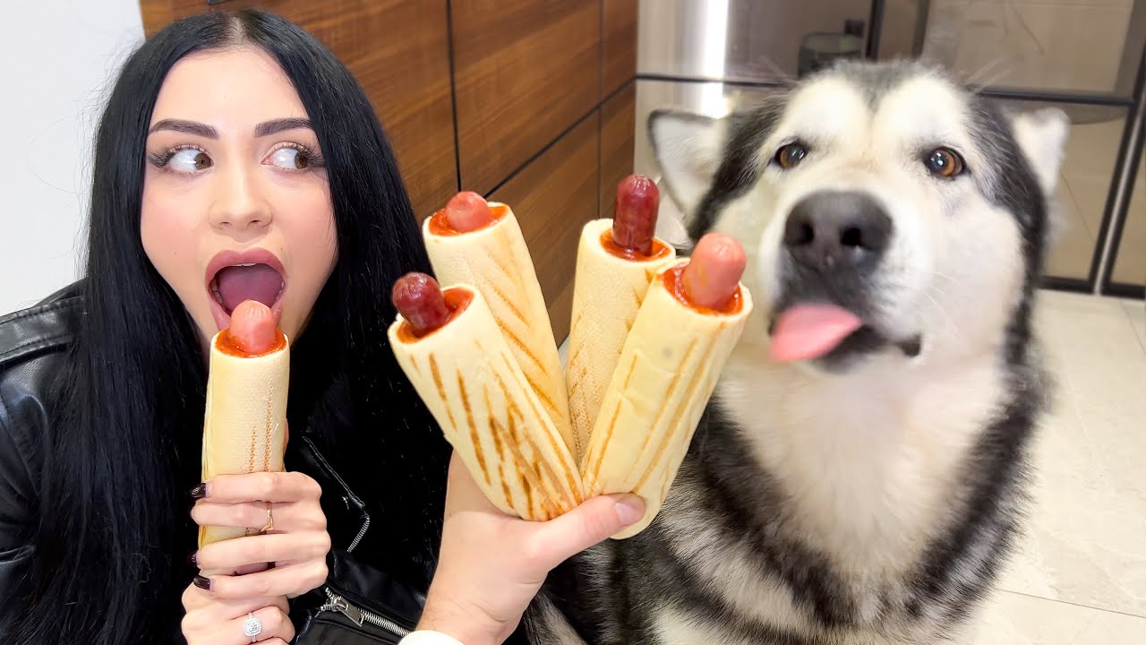 КТО ПЕРВЫЙ СЪЕСТ HOT DOG ? СОБАКА или ХОЗЯЙКА
