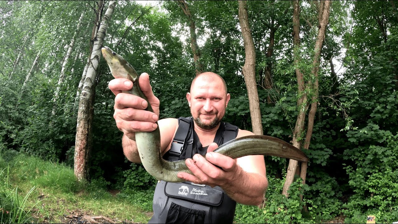 Нарешті я зловив ВУГРА токсичну потвору😱😬😅Нічний кльов на філе