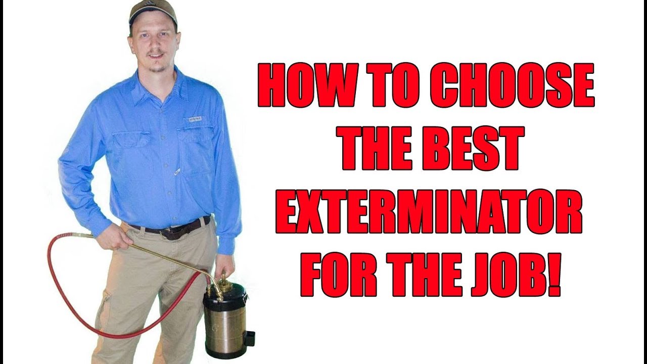 Exterminators - how to choose one that&rsquo;s right for you