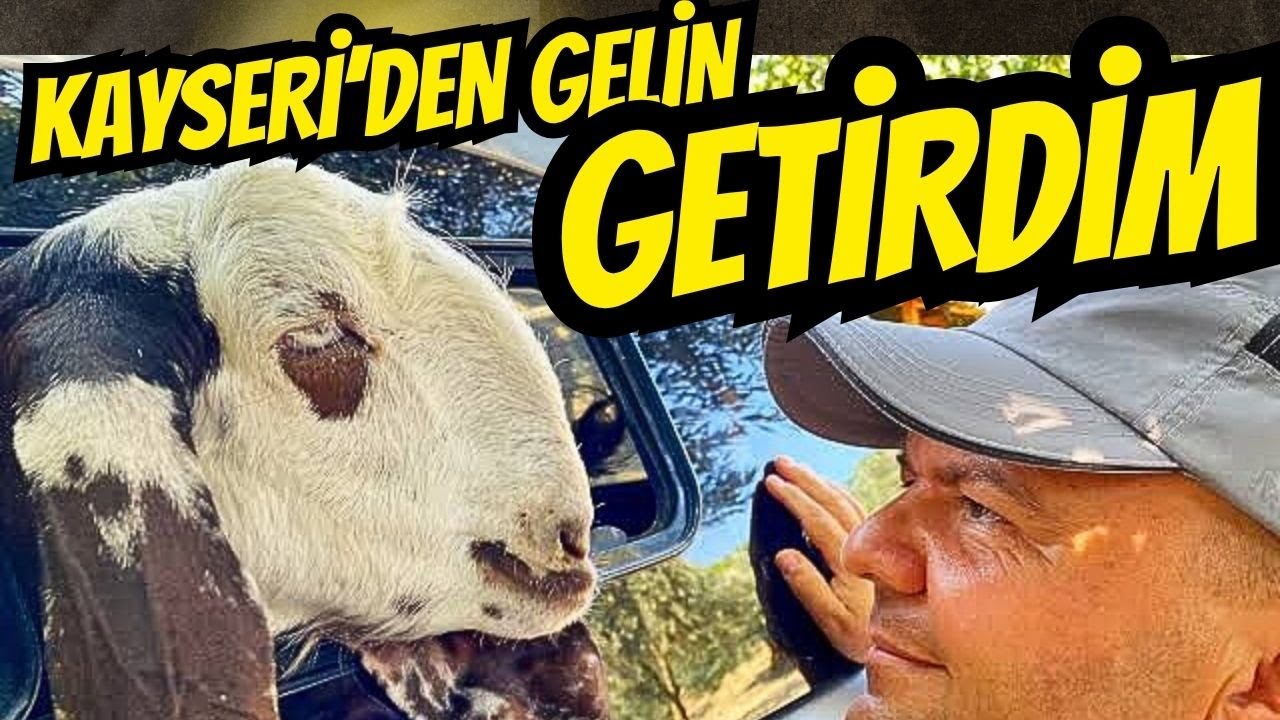 KAYSERİ'DEN GELİN GETİRDİM / İKİ YIL YOLLARINI GÖZLEDİM / Talha Uğurluel