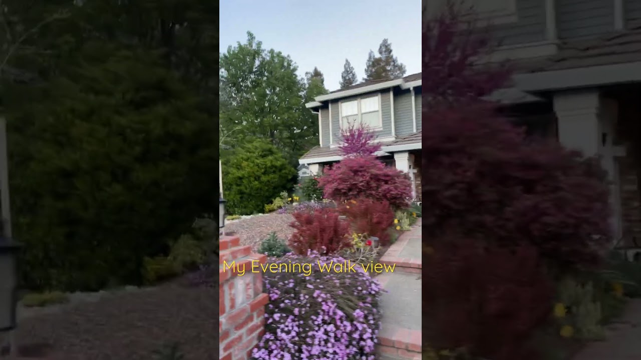 Beautiful house view in California 