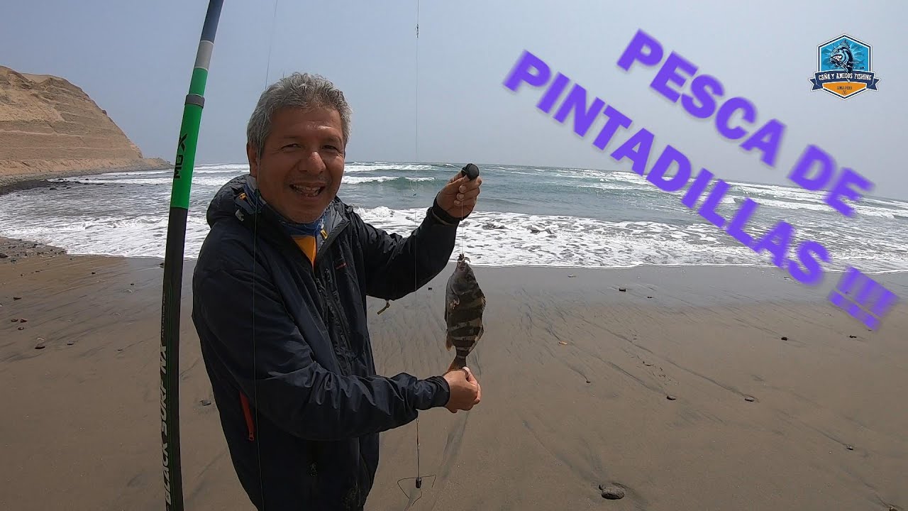 PINTADILLAS EN EL SUR .....!!!!