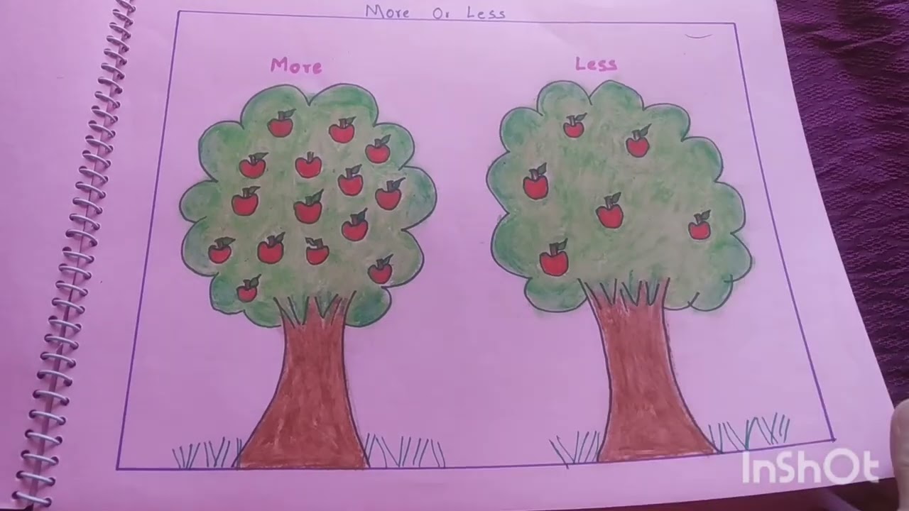 Maths Album( Montessori Teacher Training Course)