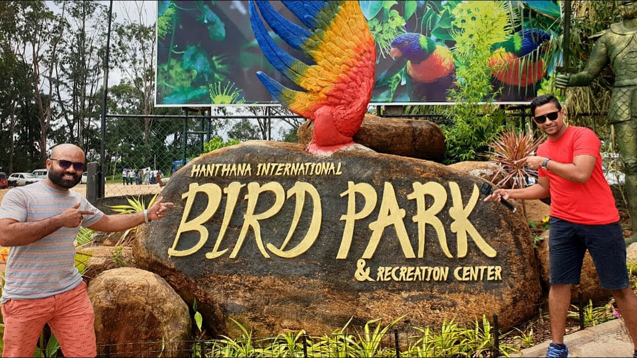 Hanthana Birds Park Kandy Sri Lanka | සුන්දර කුරුලු පාරාදීසය | Full Tour & birds Show | 4K Video