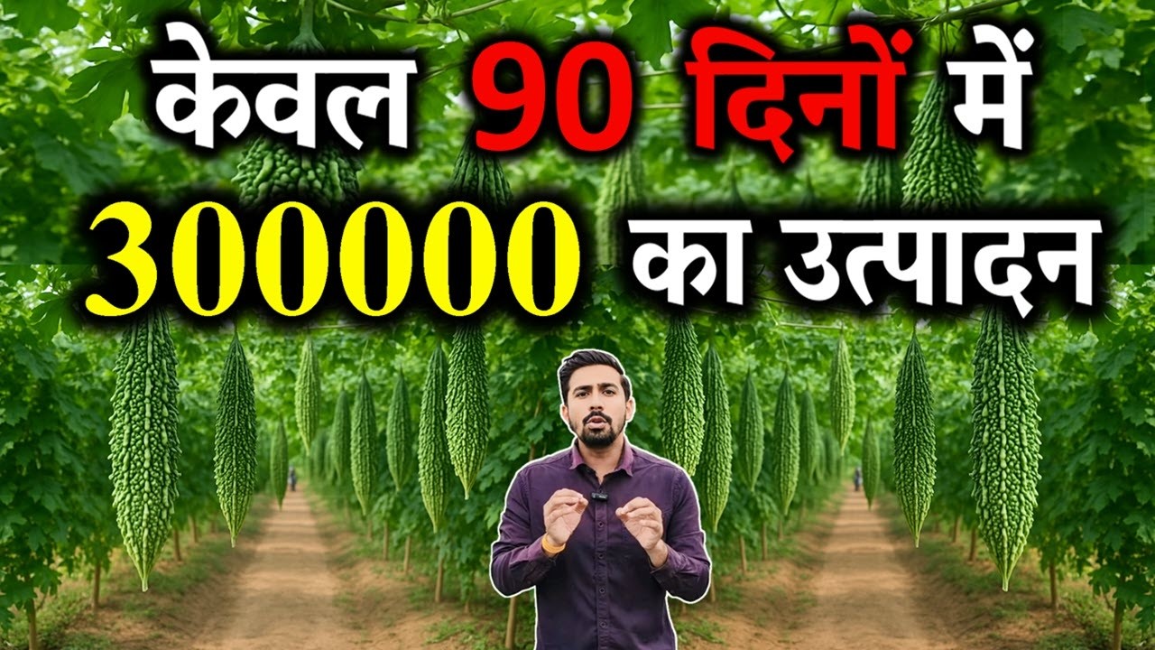 करेला की खेती कब और कैसे करें | Karela ki kheti kab aur kaise karen | Bitter Gourd Farming