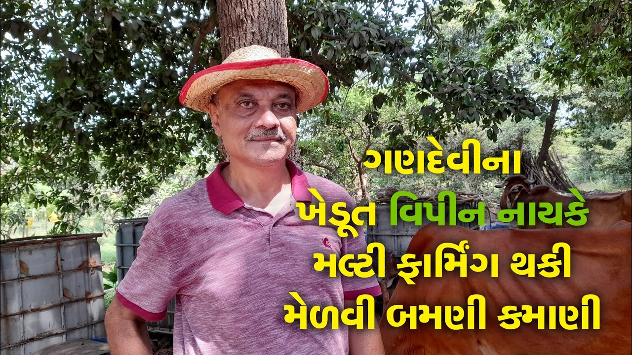 #Smart_Farming | #Progressive_Farmer | Vipin Naik | Gandevi | પ્રગતિશીલ ખેડૂત | Multi Farming