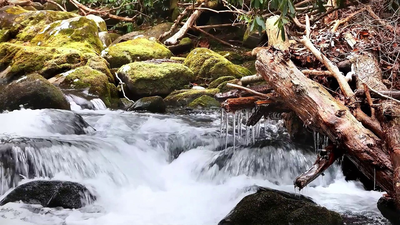 10 Hours Waterfall & Forest Stream 🌳 Deep White Noise for Sleep & Meditation