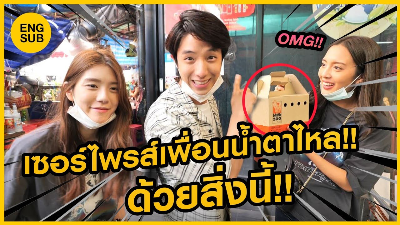 ซื้อสัตว์เลี้ยงตัวใหม่เซอร์ไพร์สเพื่อน!! ดีใจน้ำตาไหล!! ft.Meimei, Chayaanit | KAYAVINE