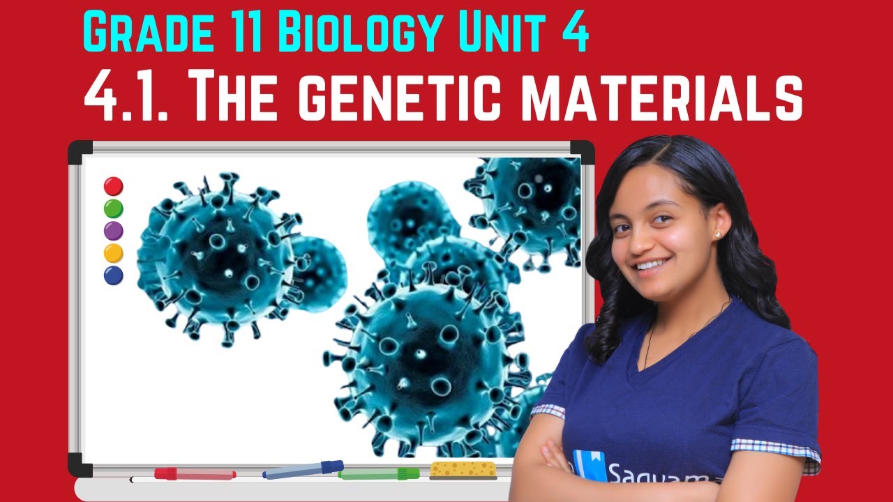 Grade 11 Biology Unit 4: 4.1. The genetic materials | Saquama