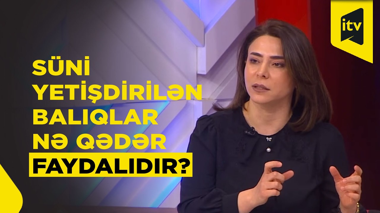 Zaur Salmanlı: 