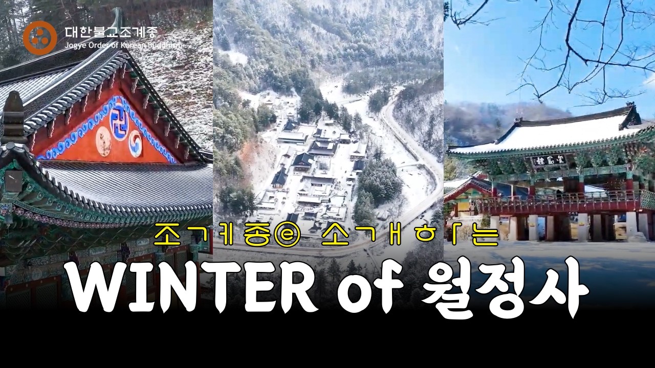 마음 복잡할 때 보면 진짜 힐링 되는 영상 ✨ | 월정사
