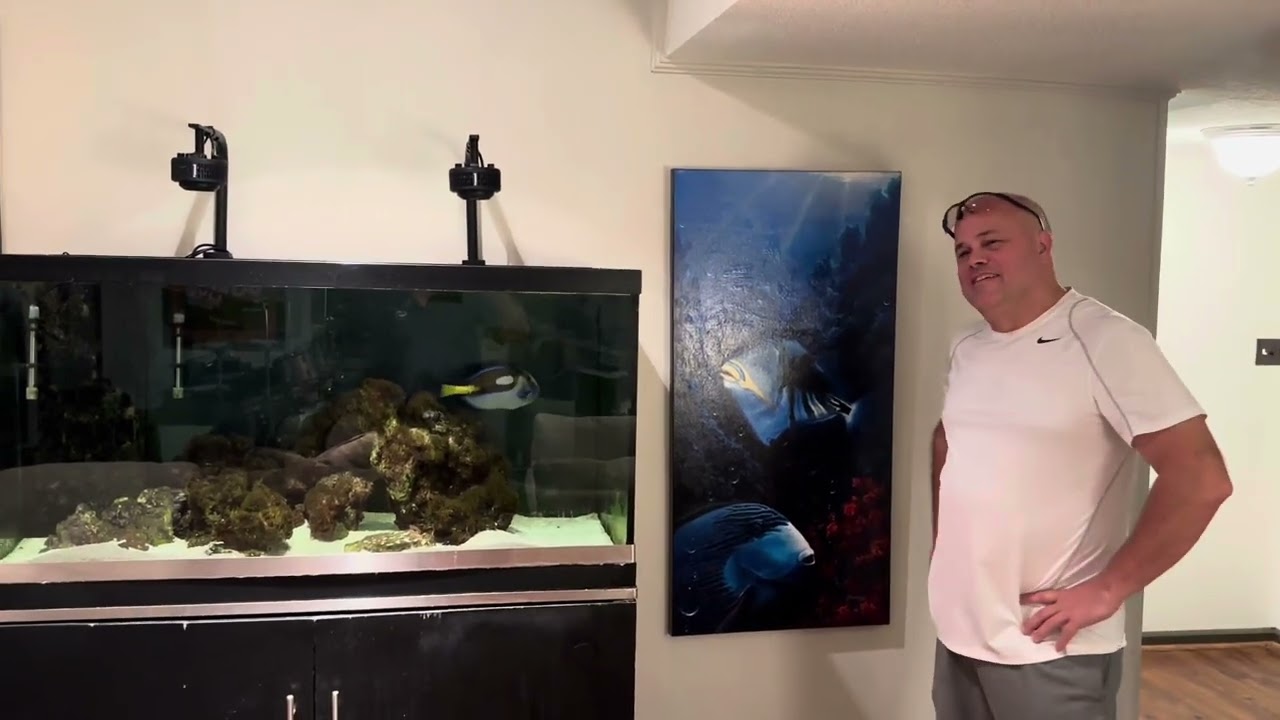 Blue Hippo Tang Send Off!