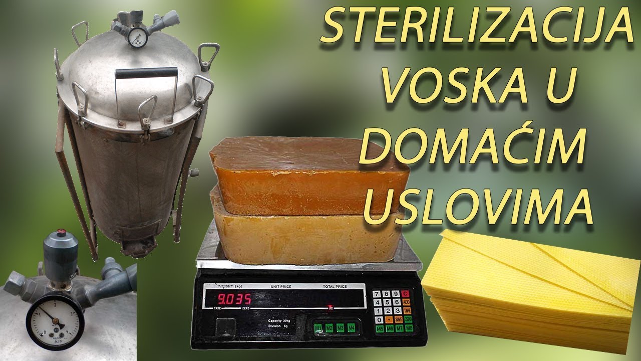 Sterilizacija i obrada voska u domaćim uslovima I dio sterilization of bee wax