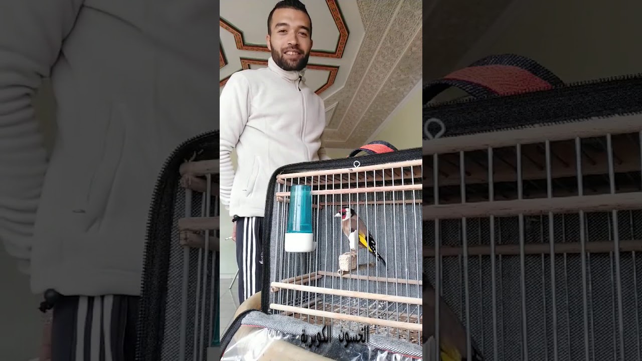 من سطات حسون رائع خليفة حسون عبد اللطيف السمارين لسي السعيد حمدون