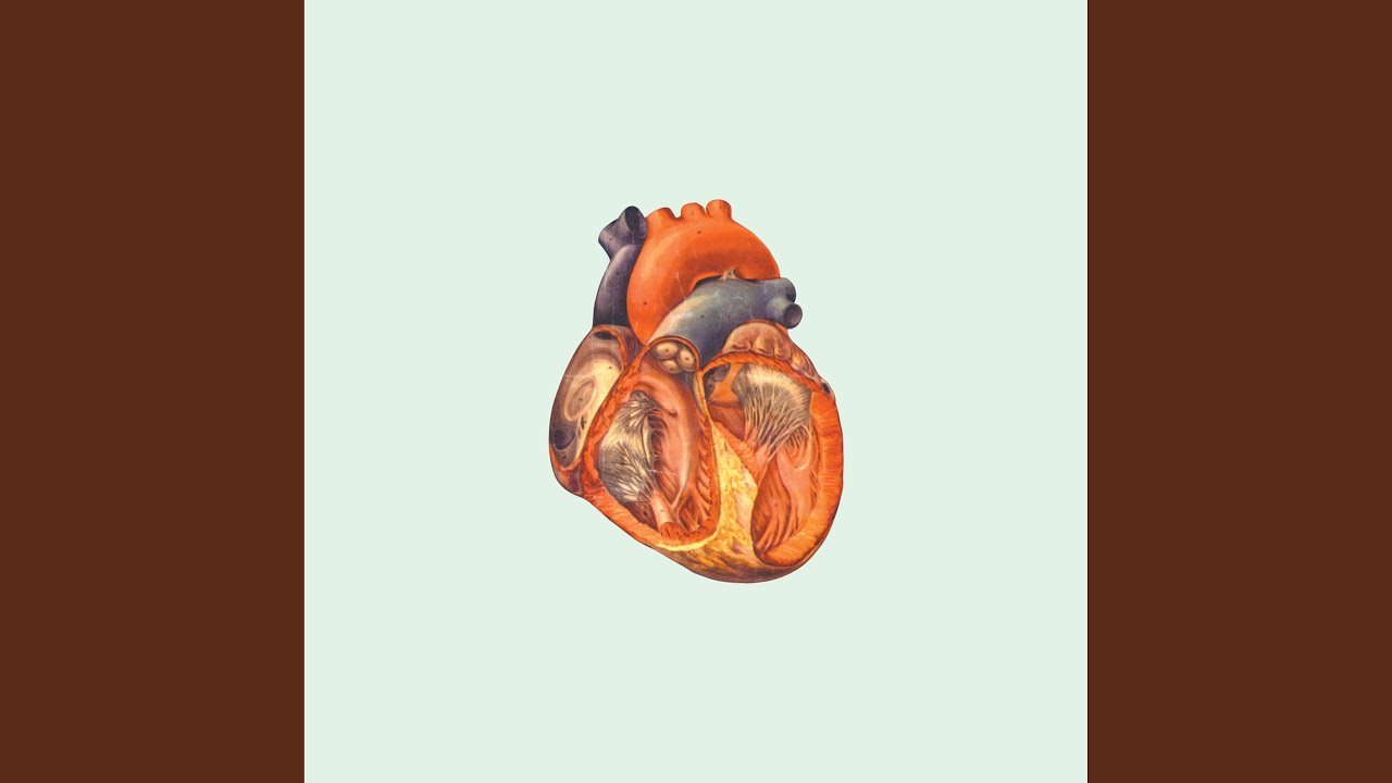 Heart of the Party