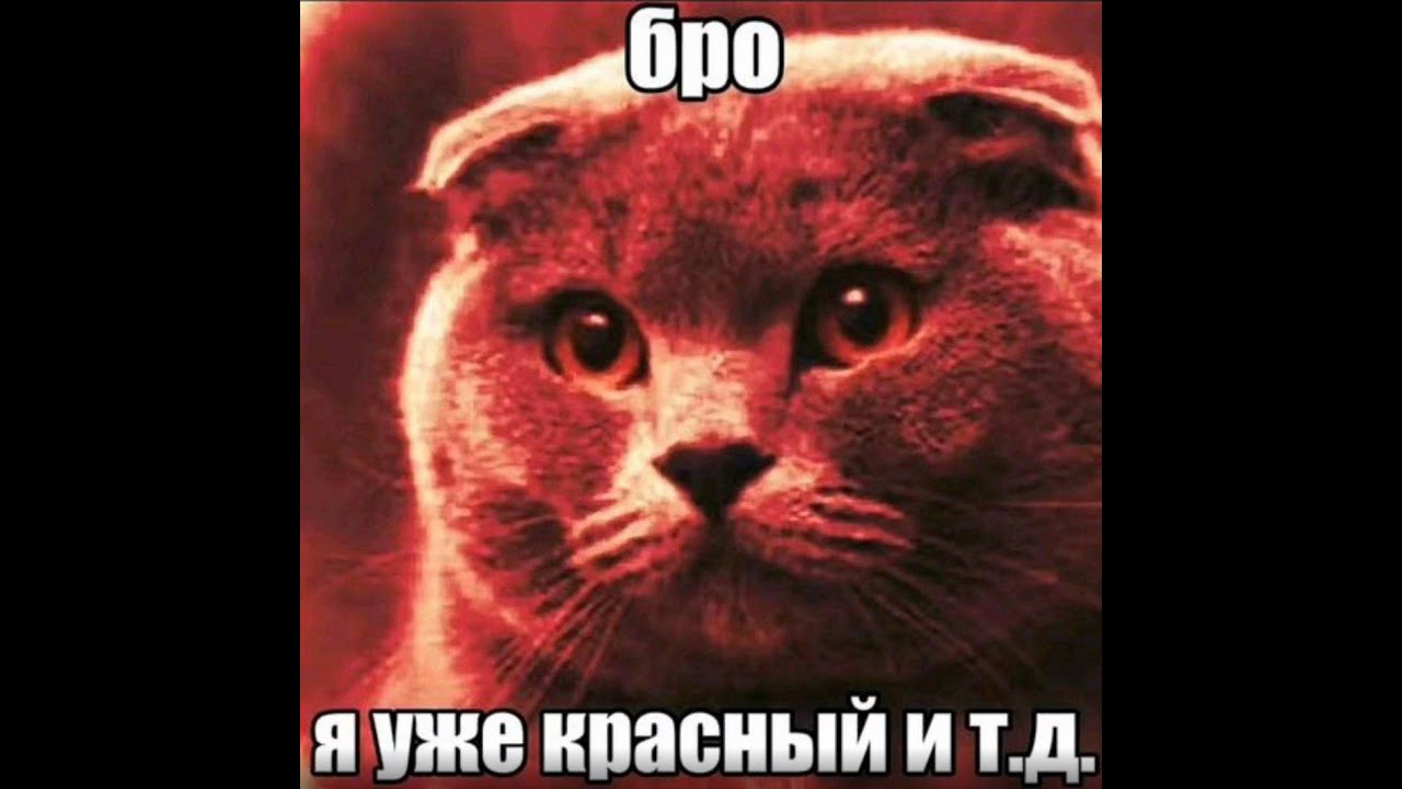 НАТИСК ЛЕДЯНОЙ ТИГР В ПОИСКАХ ЗВЕРЕЙ