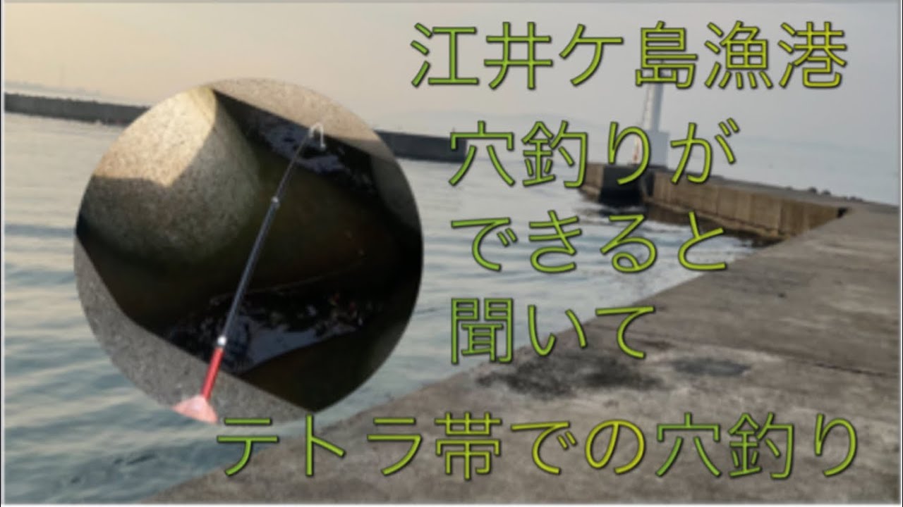 [穴釣り]初の釣り場　江井ケ島漁港で穴釣り！　ここで穴釣りができると聞いて行ってみました！ #明石