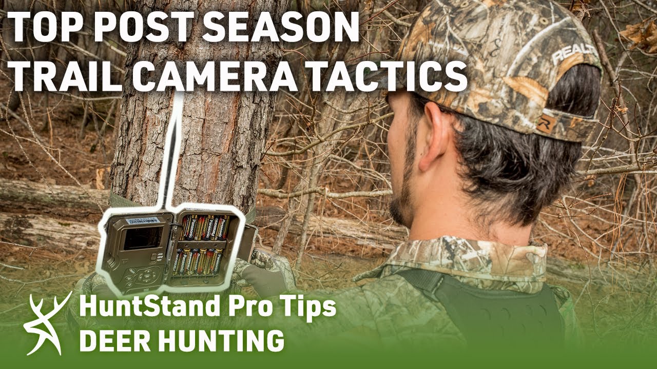 TOP POST-SEASON Trail Camera Tactics with Josh Honeycutt