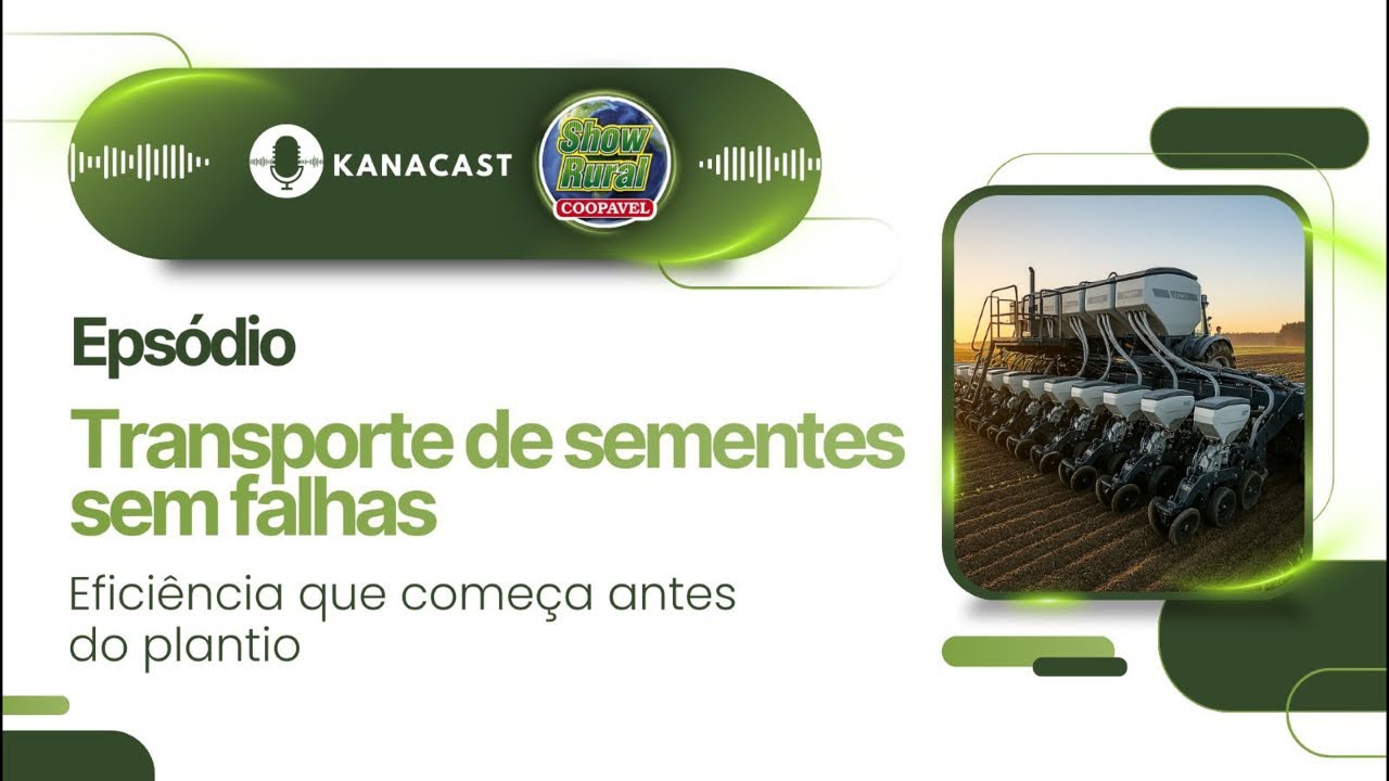 Transporte de sementes sem falhas: eficiência que começa antes do plantio