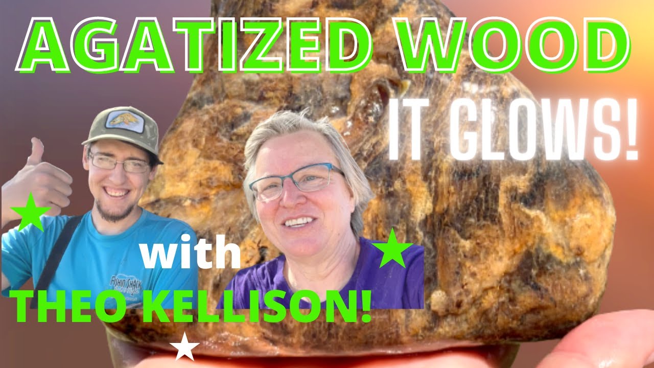 Petrified Wood that GLOWS: Rockhounding for treasures with Theo Kellison