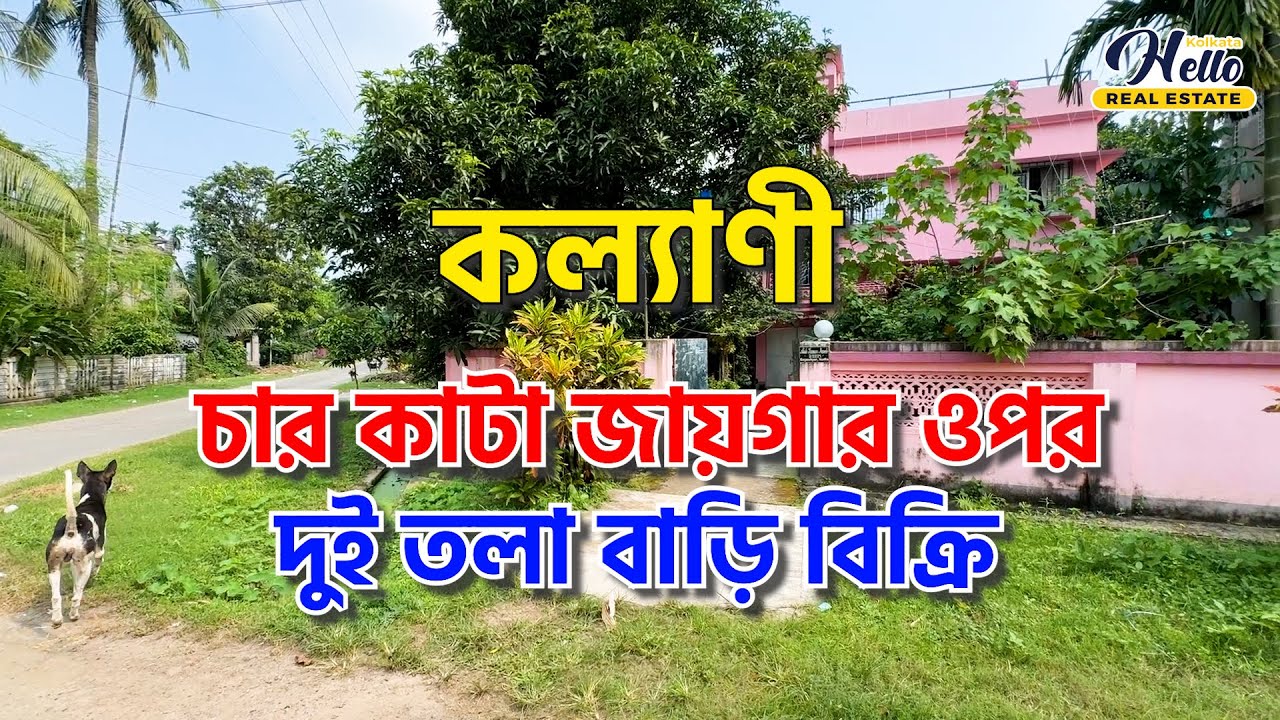 || ৪ কাটা জায়গার উপর বাড়ি বিক্রি || WhatsApp Only : 𝟗𝟖𝟑𝟏𝟒𝟑𝟒𝟒𝟒𝟎