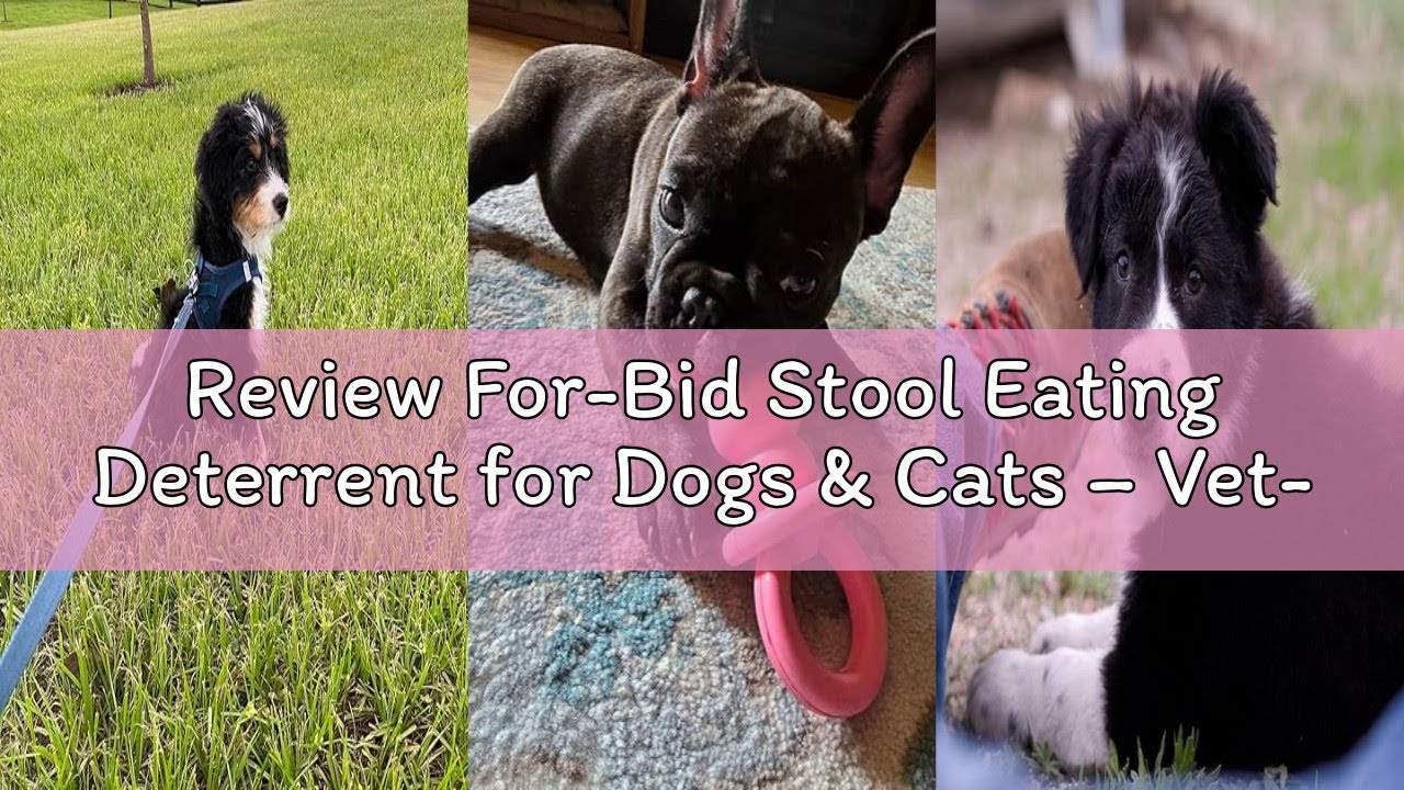 Review For-Bid Stool Eating Deterrent for Dogs & Cats – Vet-Recommended Coprophagia Deterrent for Do