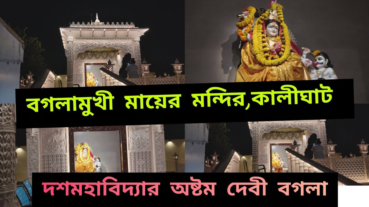 Maa Baglamukhi mandir at Kalighat|বগলামুখী মায়ের মন্দির,কালীঘাট|Bagalamukhi Temple kolkata