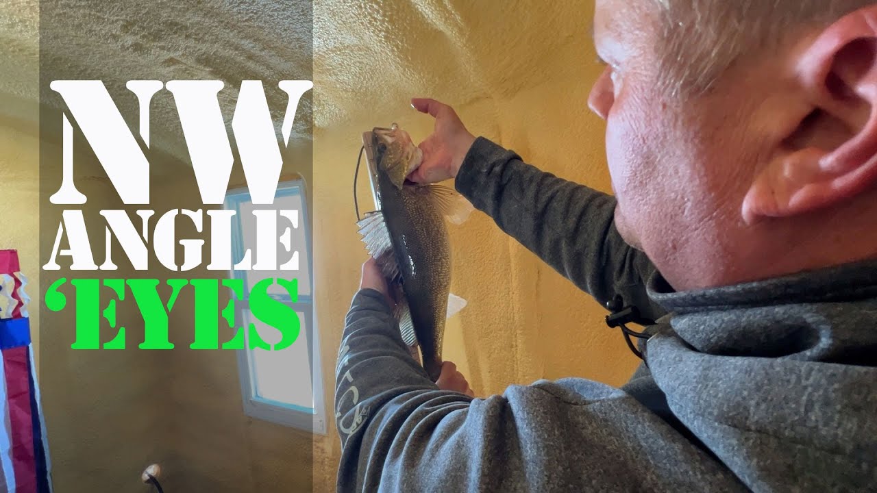 Reef fishing in the Northwest Angle of Lake of the Woods for walleye and sauger with TRF hoodlums.