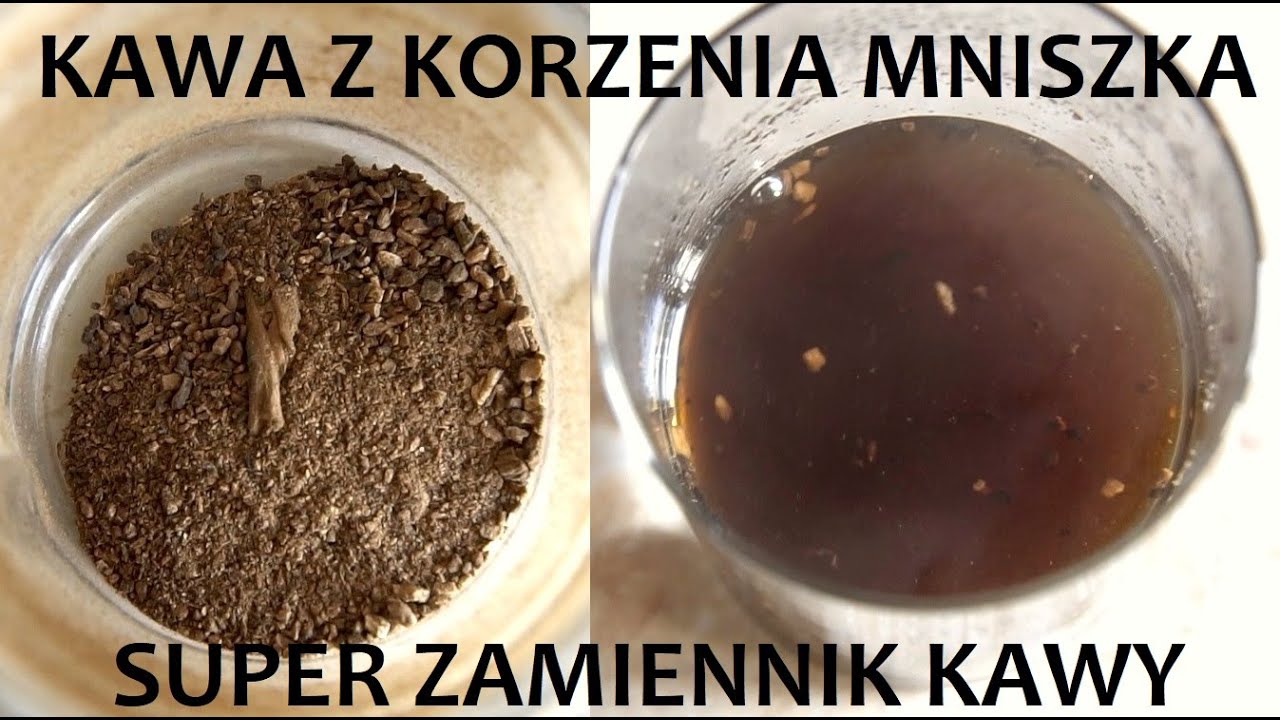 Kawa z korzenia mniszka lekarskiego (+Herbatka) ZŻ83