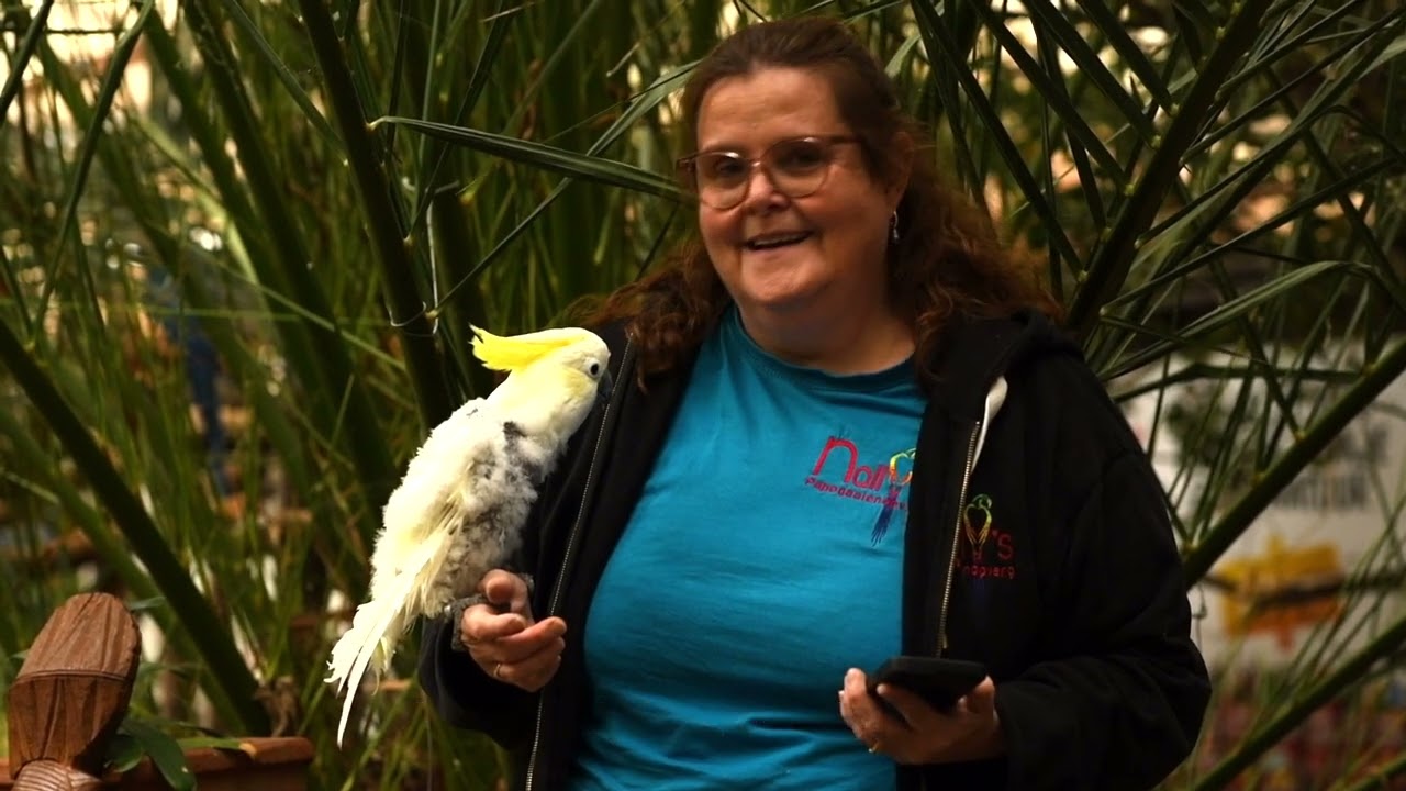 Nally's Parrot Sanctuary 2025