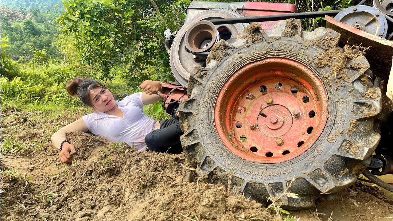Agricultural vehicles transport sand to farmers